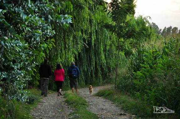 Caminhando com o Pablo e a Andrea em estrada rural próxima a casa deles, na região de Rengo, ao sul de Santiago, no Chile